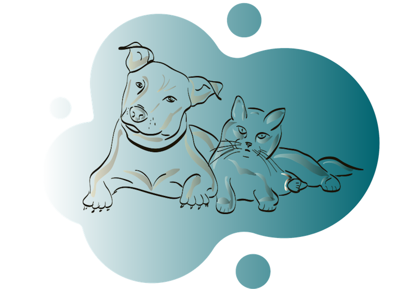 Boceto de Perro y Gatos Juntos
