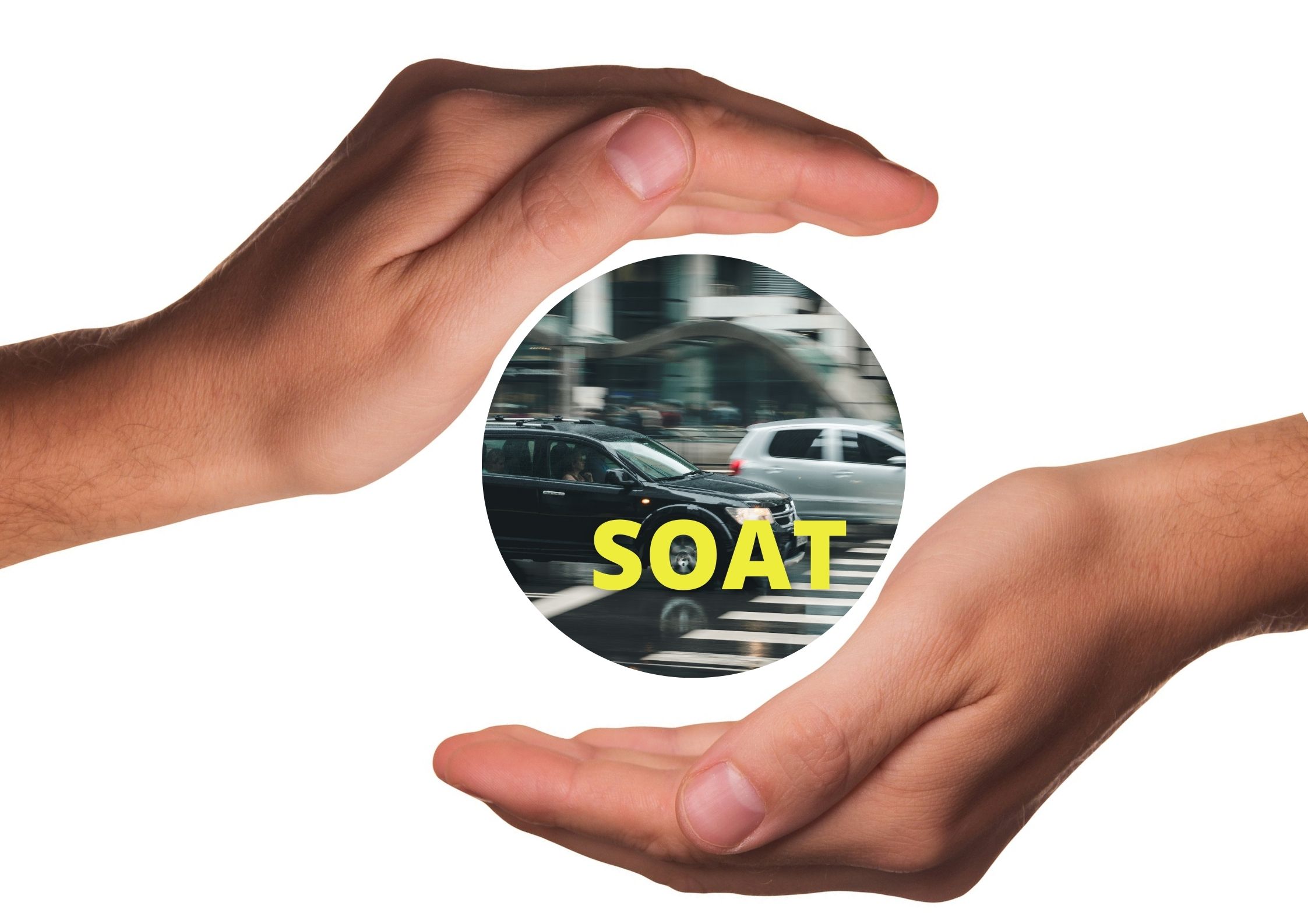 SOAT