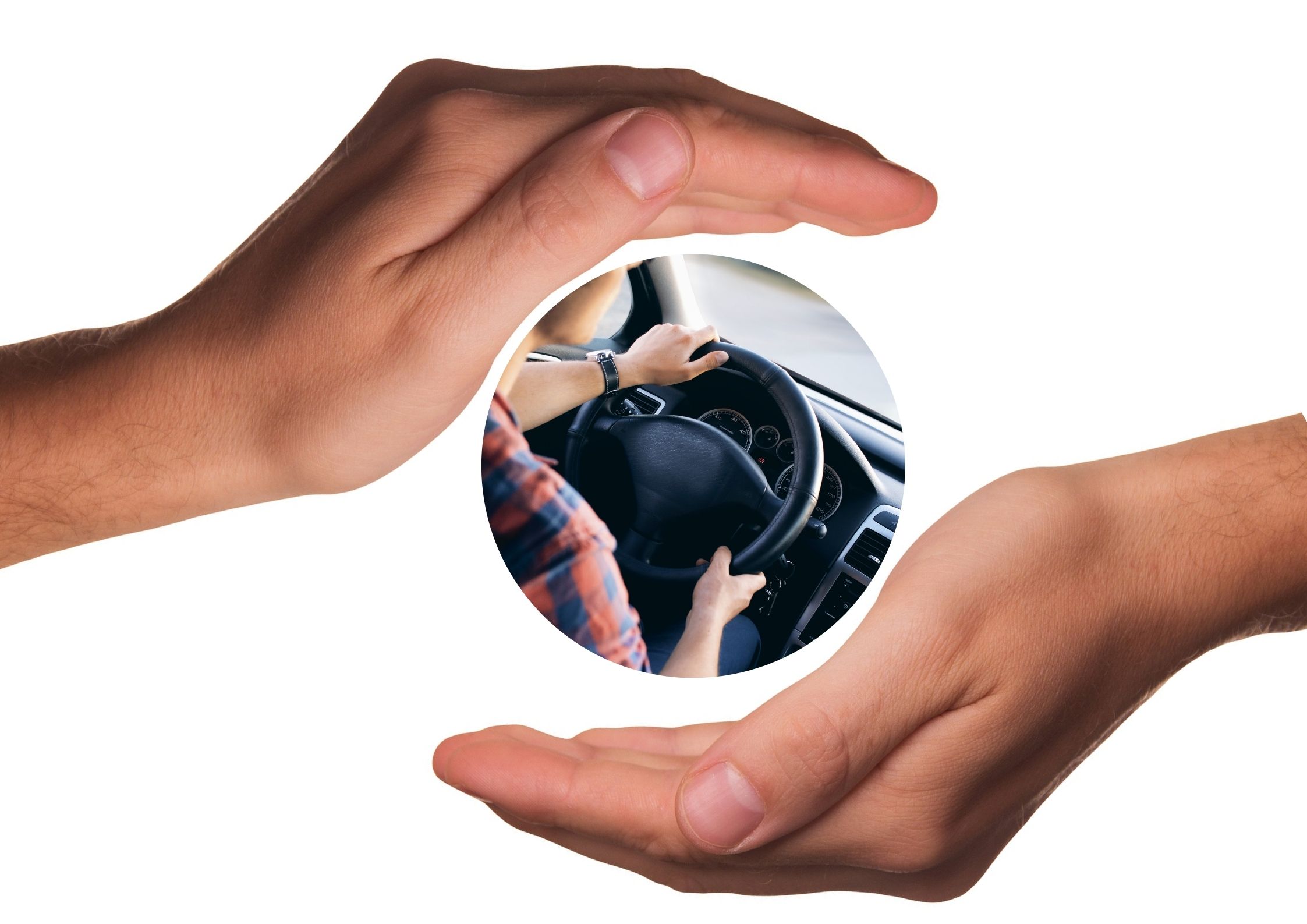 Seguro de Vehiculos